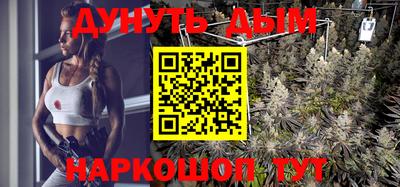 дмт Кинель