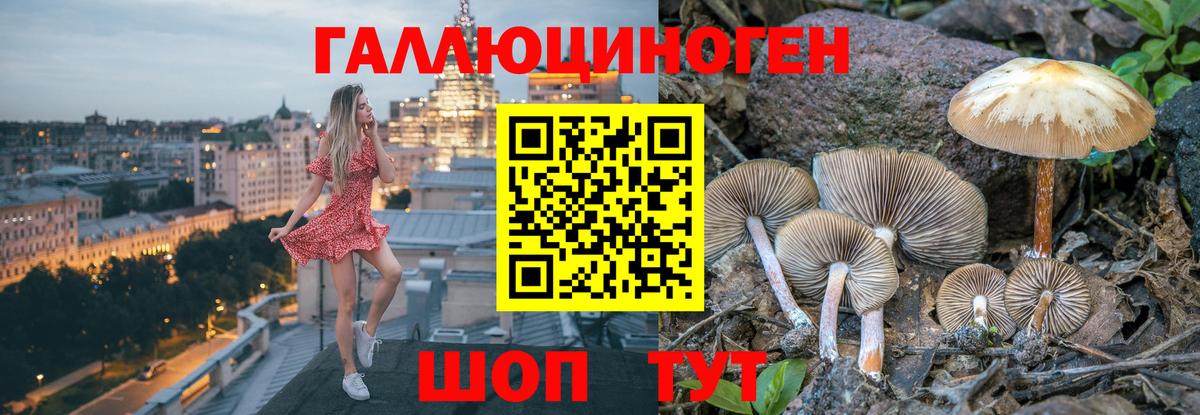 Псилоцибиновые грибы Magic Shrooms Котлас